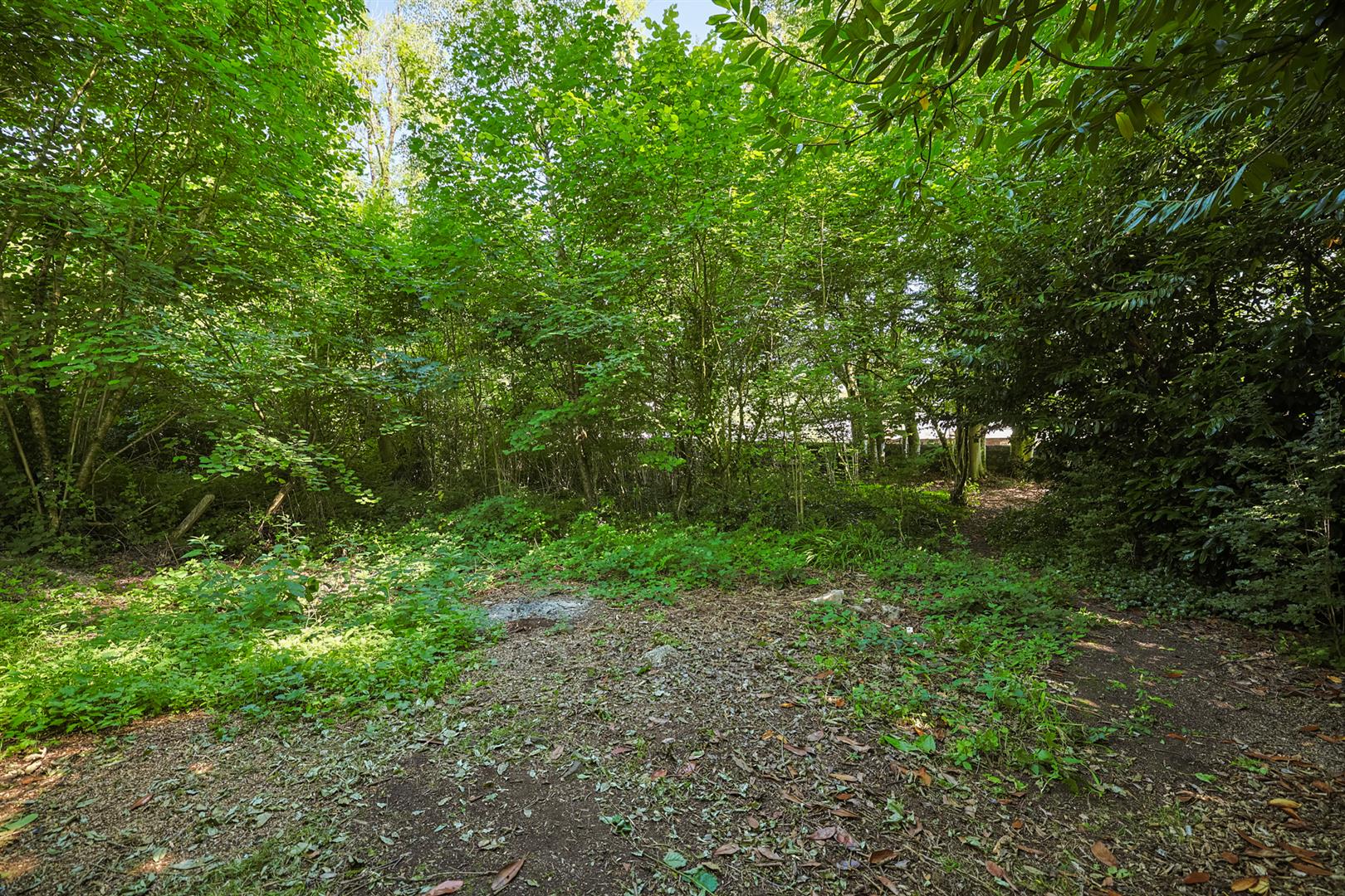 Avondale House, Llys Tawel, Ystradgynlais, Swansea, SA9 1BL